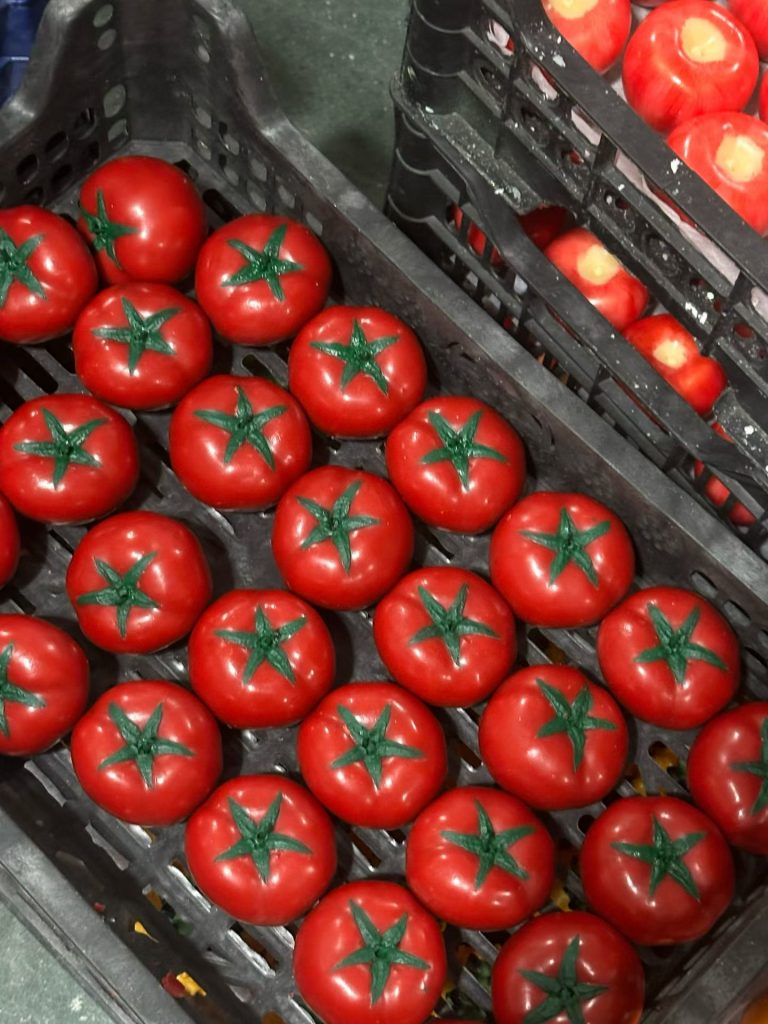 Bulk wholesale crate packed with realistic red tomato soy candles ready for worldwide delivery